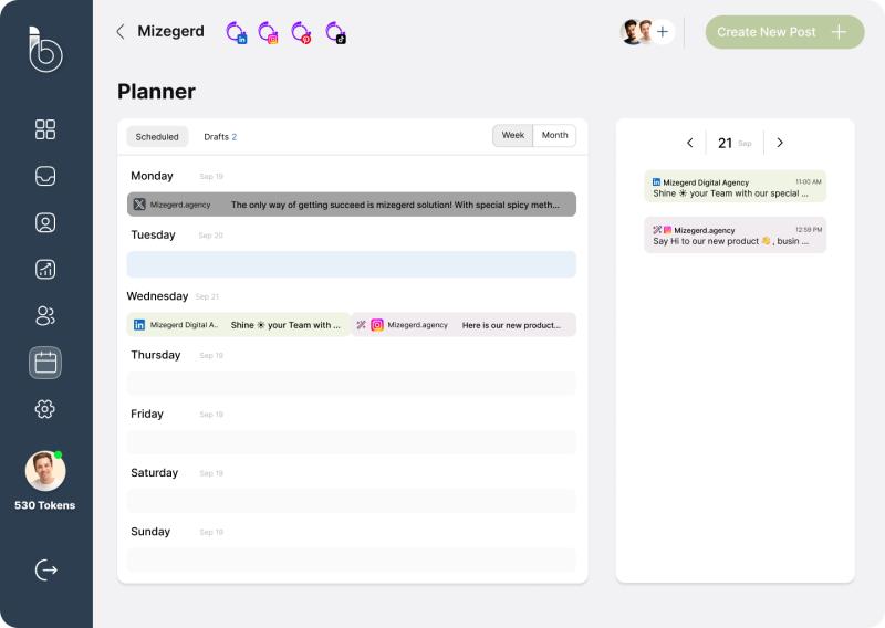 Business Insight Planner Screenshot